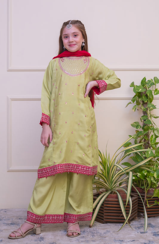 Shanzey Luxe Embroidered Raw Silk Stitched 3 Piece Suit - SHK-4803 - SHZ25LXD - Lime Green - Girls Festive Collection