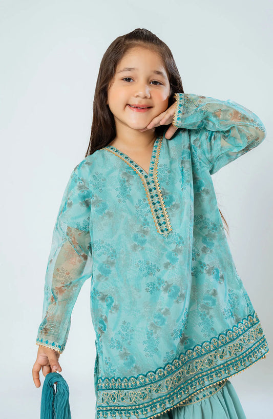 Amna Khadija Shehzadiyan Festive Pret Collection - AKSPF 06