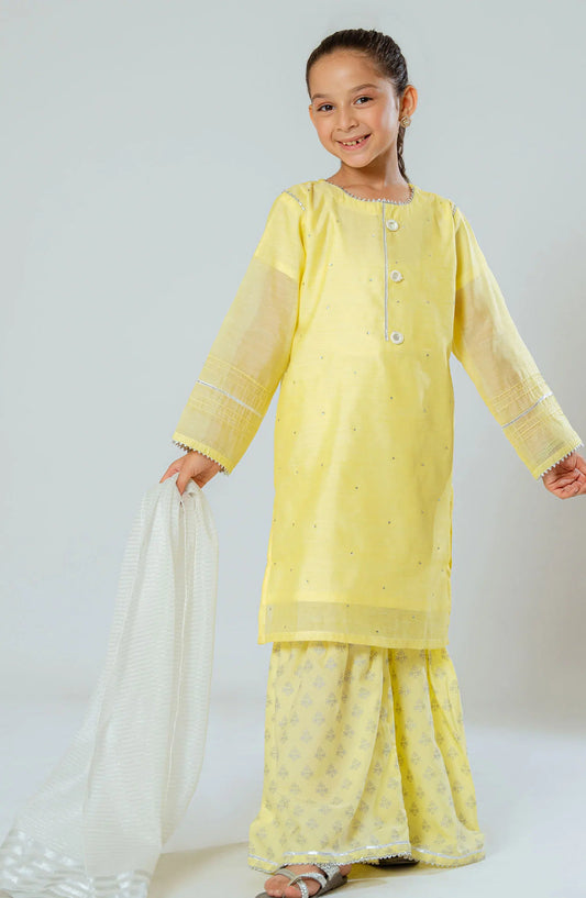 Amna Khadija Shehzadiyan Festive Pret Collection - AKSPF 13