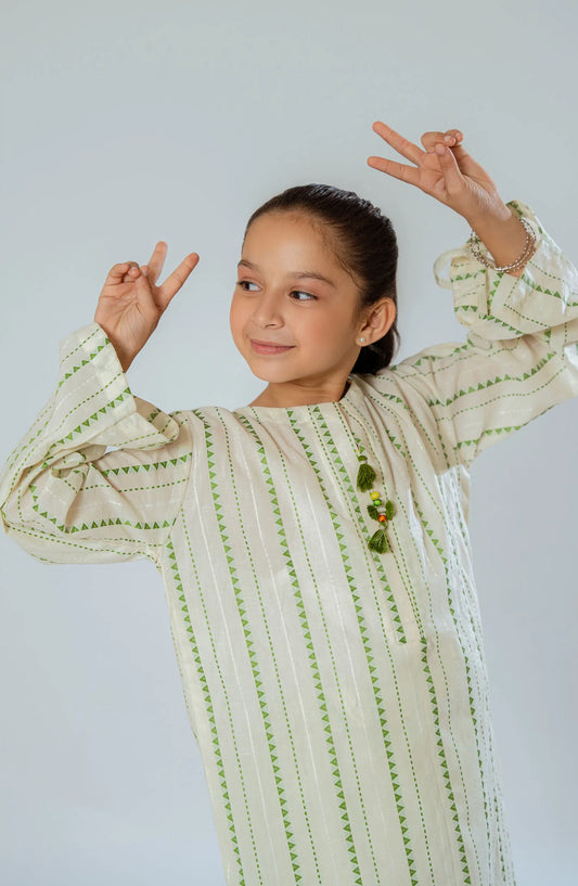 Amna Khadija Shehzadiyan Festive Pret Collection - AKSPF 14