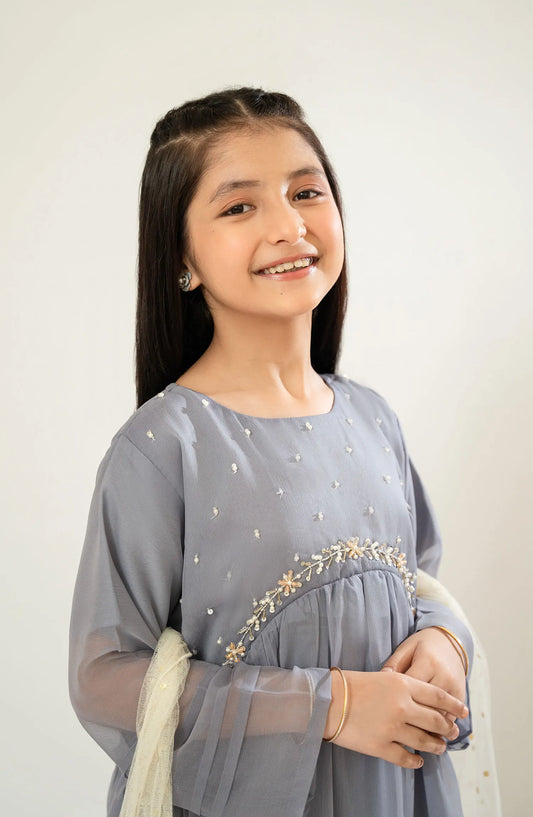 Amna Khadija Shehzadiyan Festive Pret Collection Vol 02 - AKSFP 24