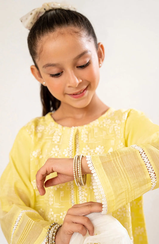 Amna Khadija Shehzadiyan Festive Pret Collection Vol 02 - AKSFP 35