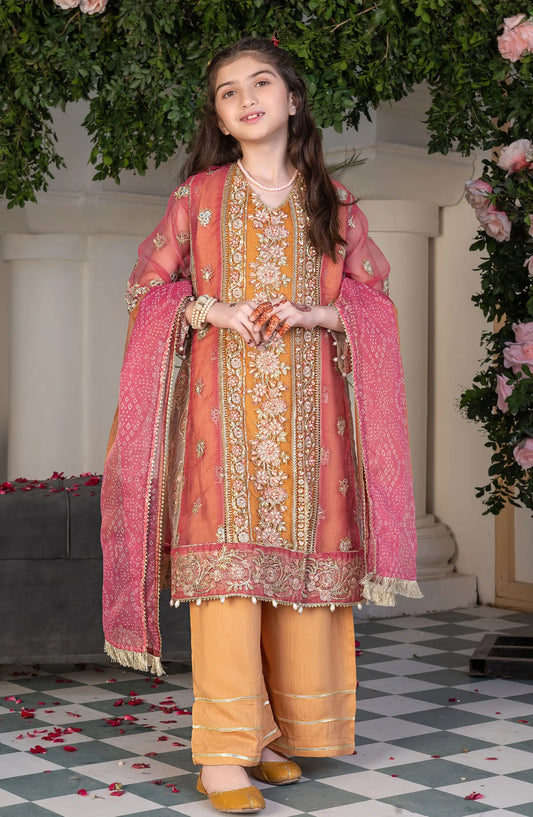 Kids Festive Collection 2024 - AL-3794