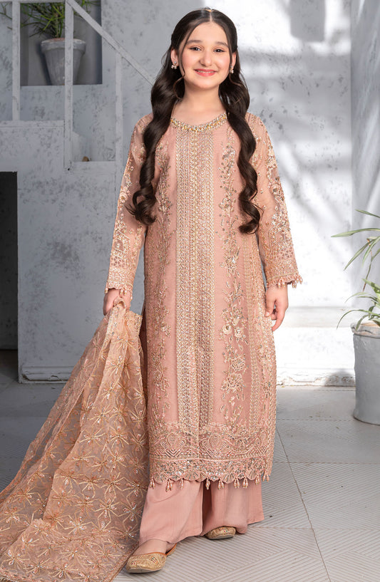 Mehru by Allys Embroidered Organza Stitched 3 Piece Suit - AL-3881 - ALL25MKF - Pink - Girls Festive Collection