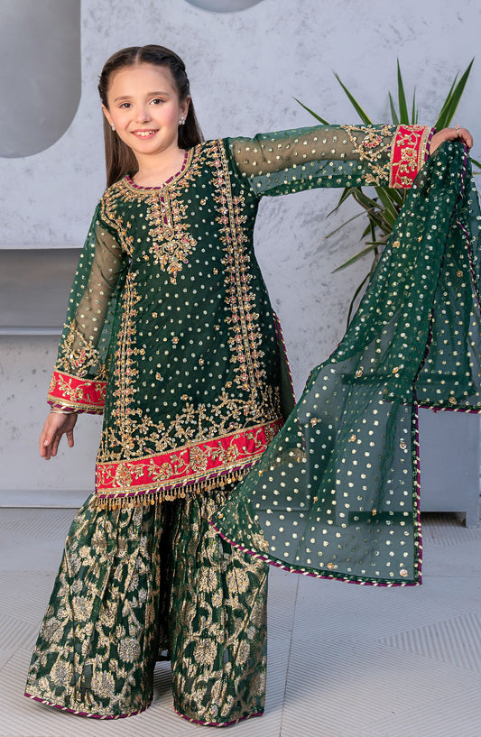 Mehru by Allys Embroidered Organza Stitched 3 Piece Suit - AL-4014 - ALL25MKF - Green - Girls Festive Collection