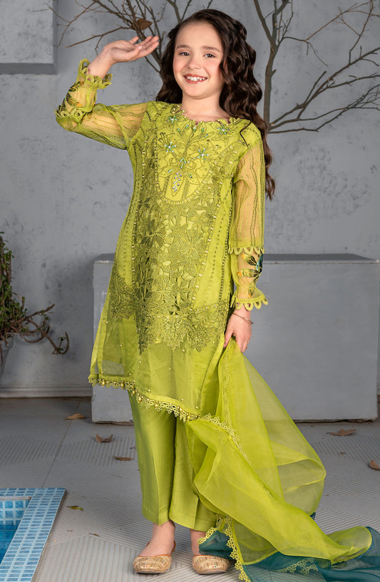 Mehru by Allys Embroidered Organza Stitched 3 Piece Suit - AL-4043 - ALL25MKF - Green - Girls Festive Collection