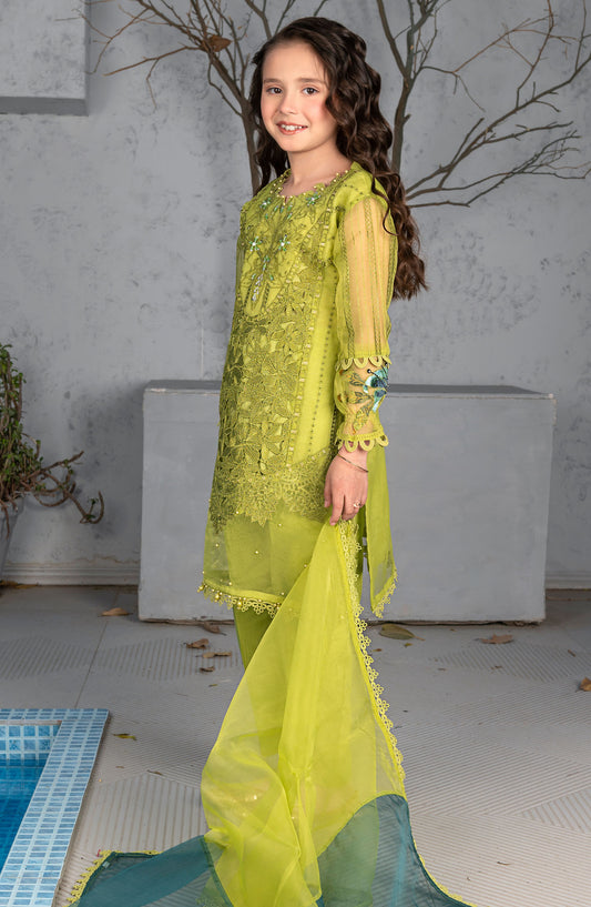 Mehru by Allys Embroidered Organza Stitched 3 Piece Suit - AL-4043 - ALL25MKF - Green - Girls Festive Collection