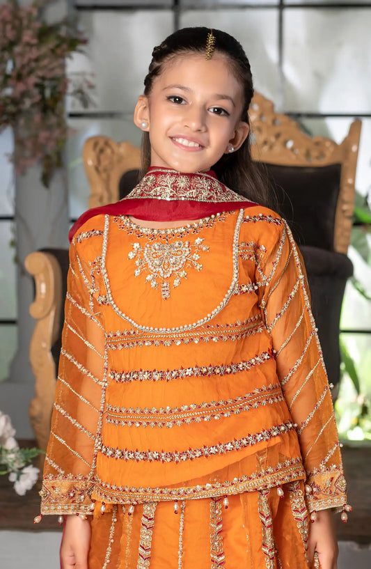 Mehndi Moments Kids Stitched Festive Collection - AL 3919