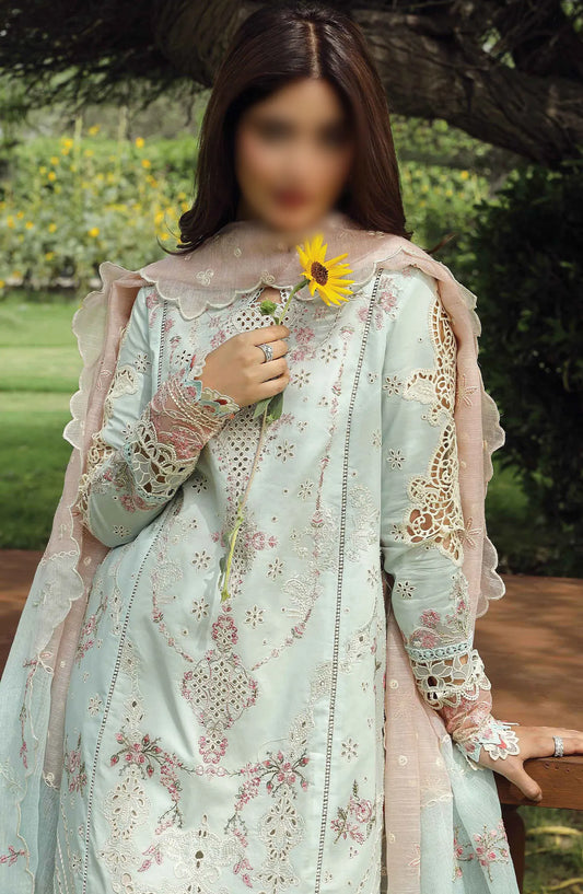 Qalamkar Festive Lawn Collection 2024 - ALIZAY