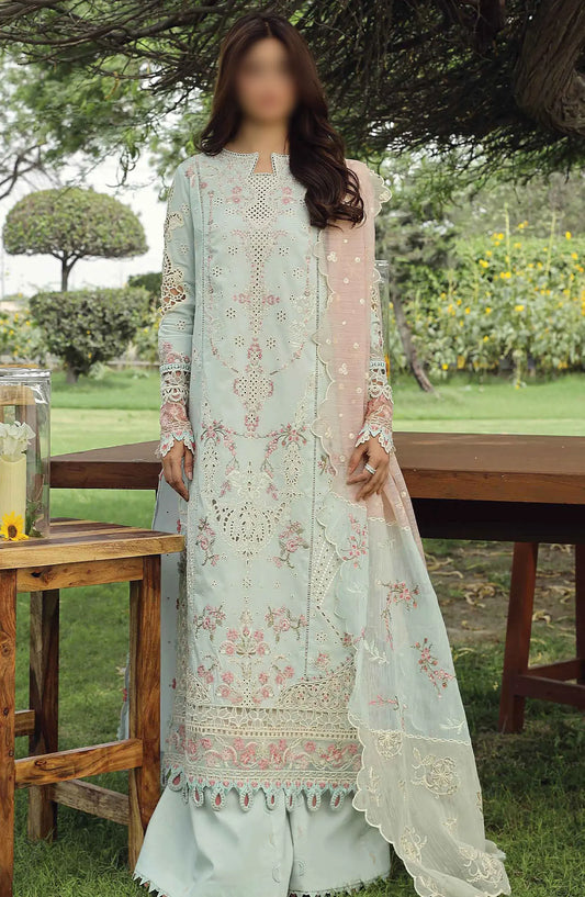 Qalamkar Festive Lawn Collection 2024 - ALIZAY