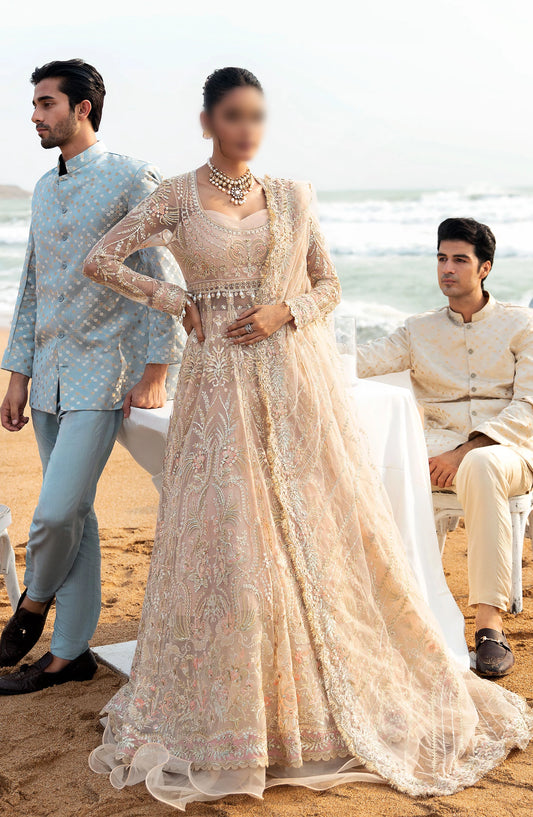 Afrozeh Dastanngoi Luxury Collection - AWE 07 AFSHEEN