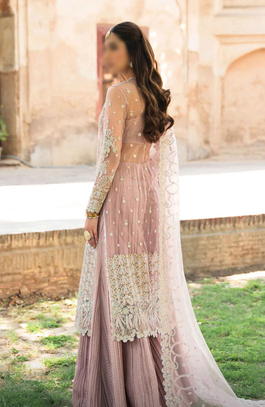 Ayzel Pehli Nazar Festive Chiffon Collection 2024 - AZW-23-24 V2-05 MUSSARAT