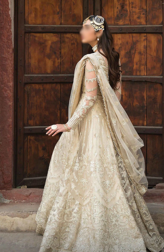 Ayzel Pehli Nazar Festive Chiffon Collection 2024 - AZW-23-24 V2-10 SHAHANA