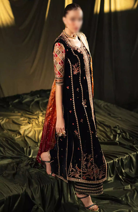 Qalamkar Luxury Velvet Collection 2024 - BK-06 ZOLA