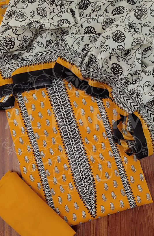 BIN SAEED UNSTITCHED ALL OVER PRINTED LAWN COLLECTION 2024 - BSU 22