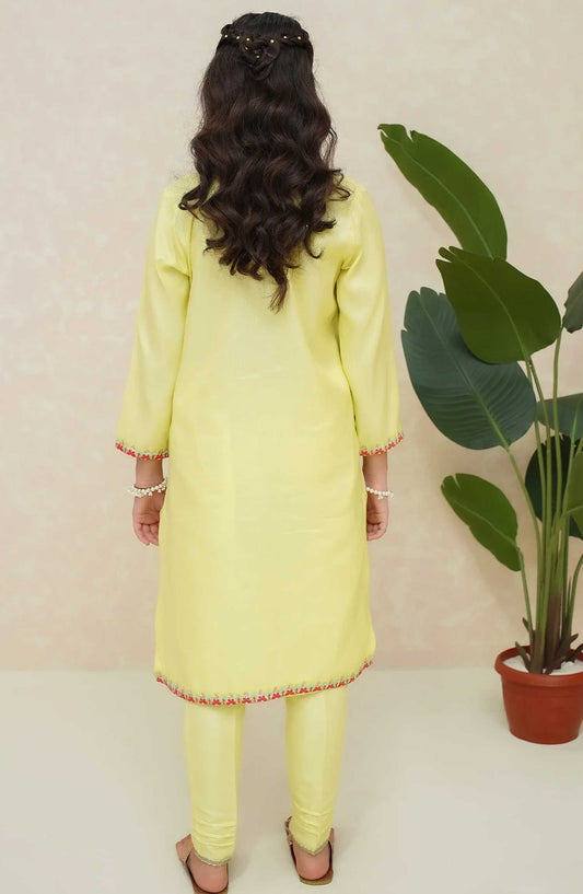 Modest Embroidered Raw Sillk Stitched 3 Piece - Chamak - MD25F - Festive Collection