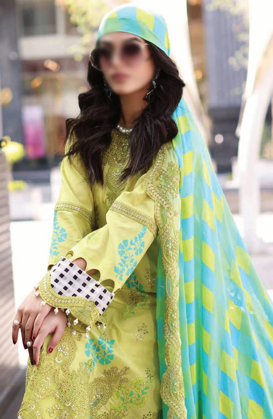 Charizma Rang E Bahar Spring Summer Collection 2024 - CRB4- 16