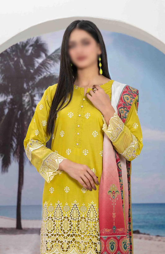 Zeyda - Stitched Schiffli Lawn Collection Vol 02 2024 - D 1850