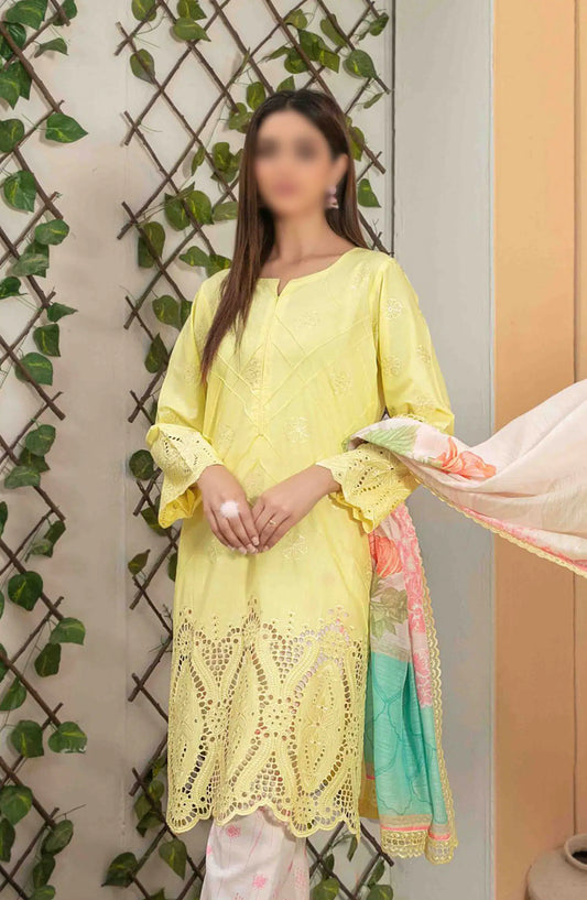 Rena - Schiffli Embroidered Lawn Collection - D 2543