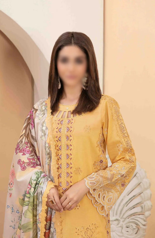 OLENA Fancy Heavy Embroidered Lawn Collection 2024 - D 3089