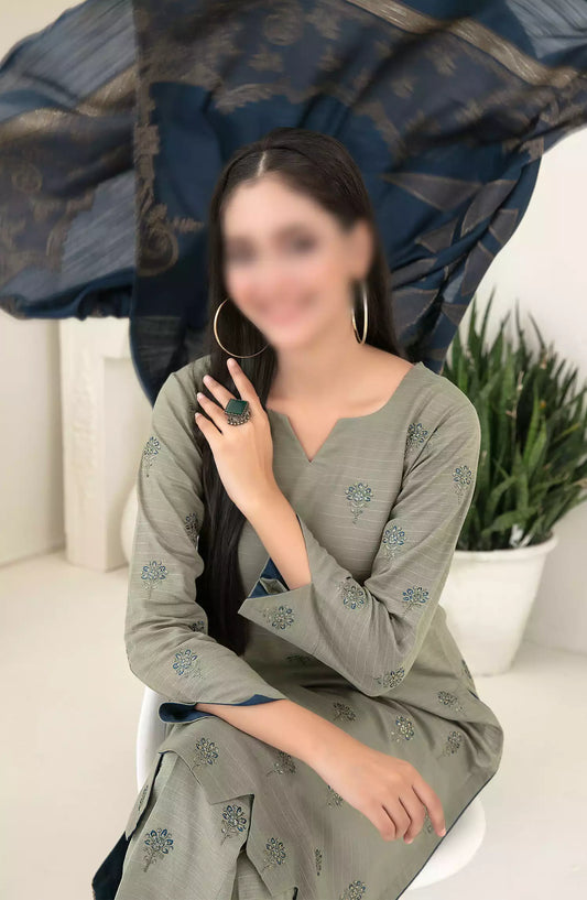 MEGARA - Fancy Stitched Embroidered Zari Khaddar Collection 2024 - D-3864