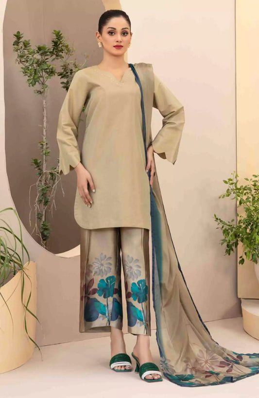 Ferda - Stitched Shamry with Digital Silk Dupatta Collection 2024 - FS-D-5024