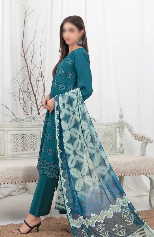Sarv - Stitched Schiffli Embroidered Lawn Collection 2024 - D 9239