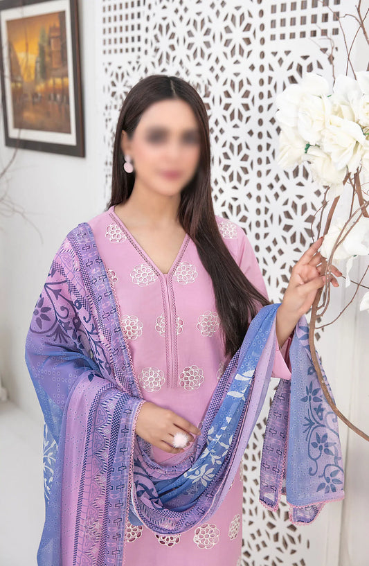 Sarv - Stitched Schiffli Embroidered Lawn Collection 2024 - D 9240