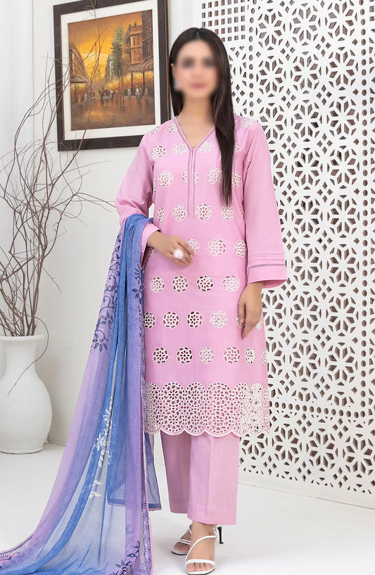 Sarv - Stitched Schiffli Embroidered Lawn Collection 2024 - D 9240