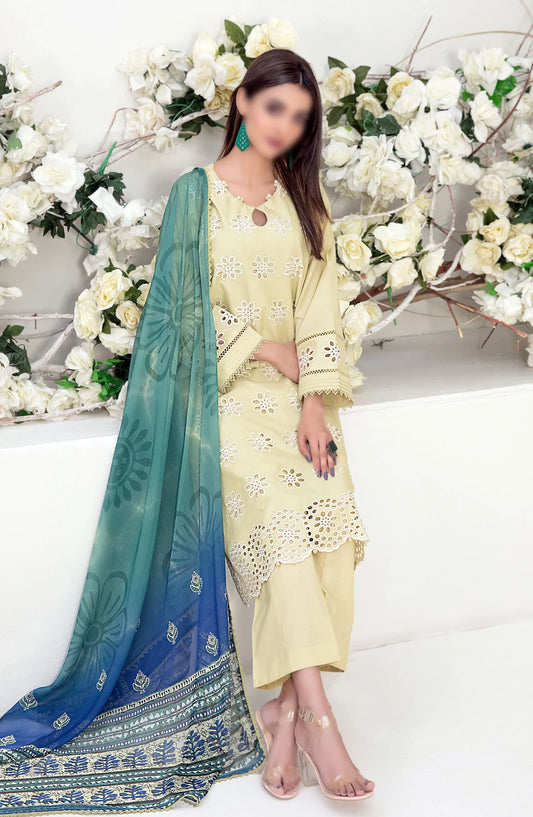 Sarv - Stitched Schiffli Embroidered Lawn Collection 2024 - D 9243