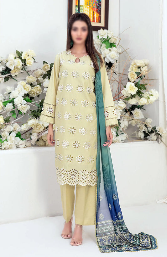 Sarv - Stitched Schiffli Embroidered Lawn Collection 2024 - D 9243