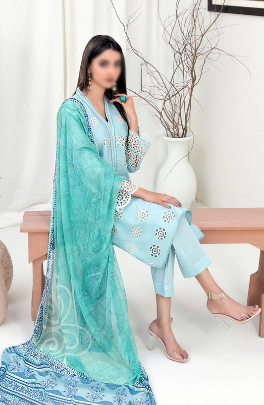 Sarv - Stitched Schiffli Embroidered Lawn Collection 2024 - D 9245