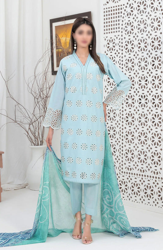 Sarv - Stitched Schiffli Embroidered Lawn Collection 2024 - D 9245