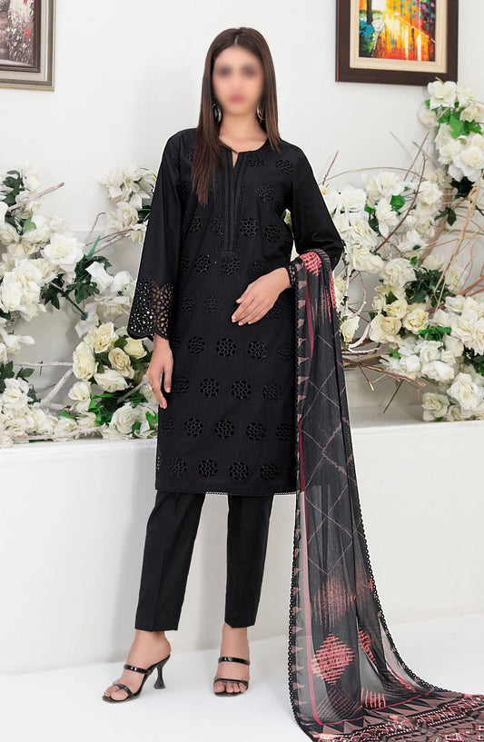 Sarv - Stitched Schiffli Embroidered Lawn Collection 2024 - D 9248