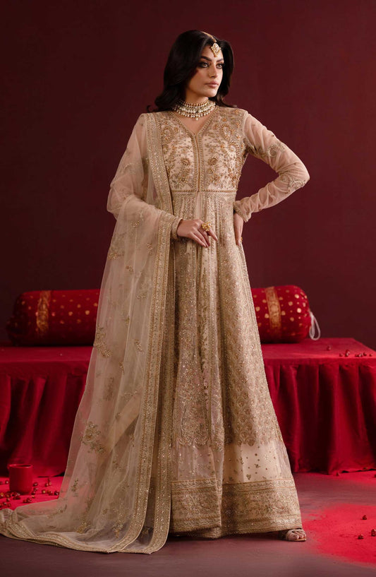 Nooresha by Emaan Adeel Embroidered Net Unstitched 3 Piece Suit - D-01 Safira - EA25NF - Fawn - Formal Collection