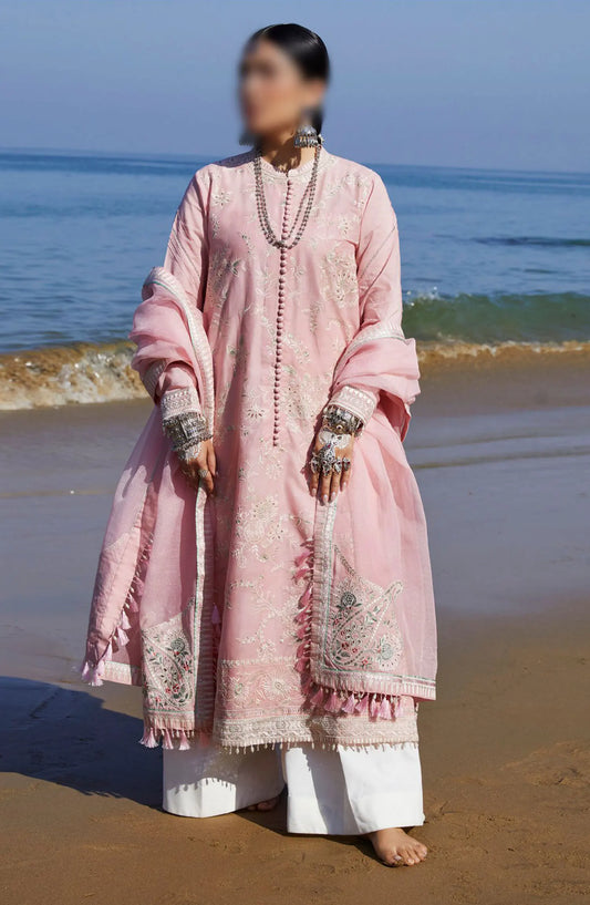 Zara ShahJahan Unstitched Lawn SS Collection 2024 - D 05 A AMIRA