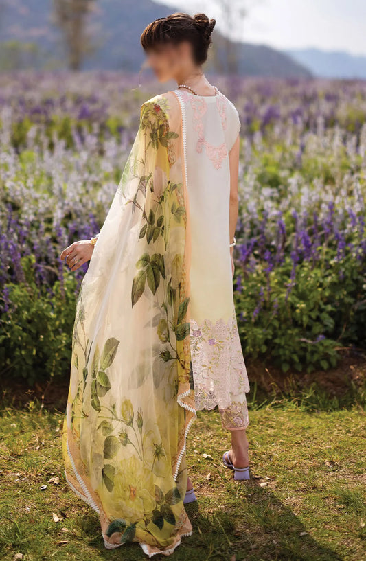 Mushq Hemline The Secret Garden SS 2024 - D 05 b Serenity