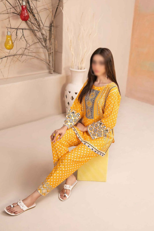 FAY Stitched Digital Printed Staple Kurti Trouser Collection 2023 VOL 01 - D 1089