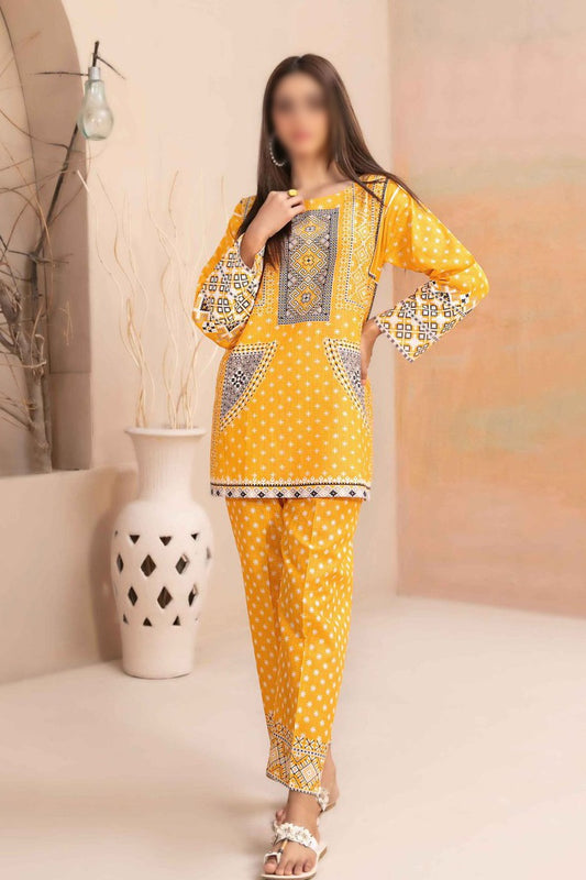 FAY Stitched Digital Printed Staple Kurti Trouser Collection 2023 VOL 01 - D 1089