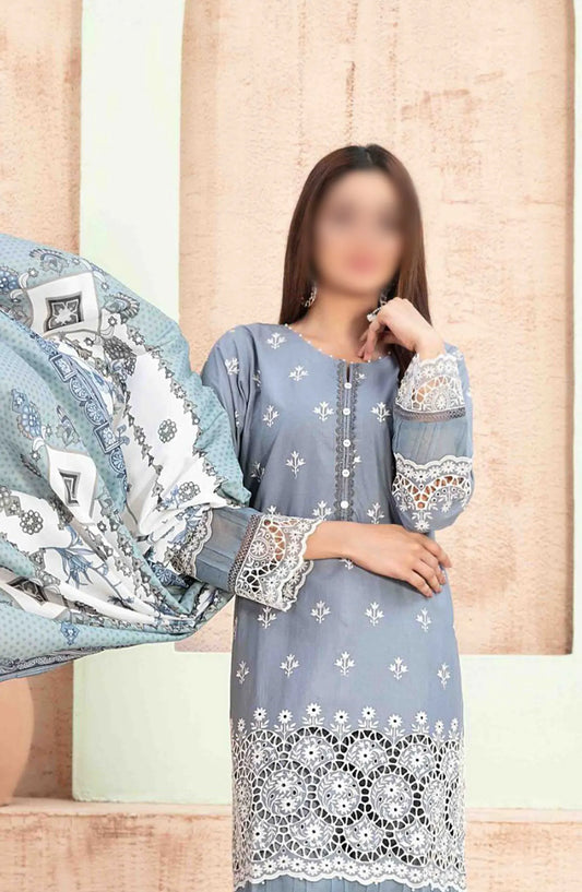 Ria - Stitched Schiffli Lawn Collection 2024 - D 1866