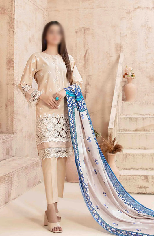 Ria - Stitched Schiffli Lawn Collection 2024 - D 1869