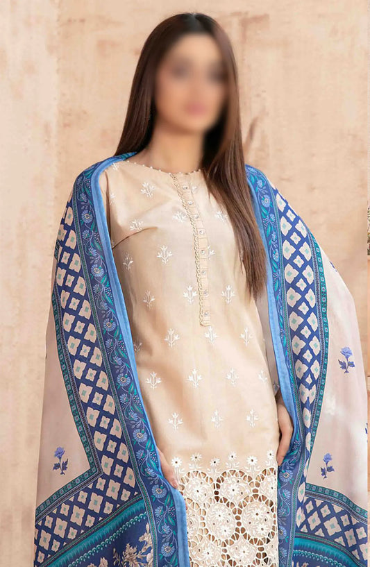 Ria - Stitched Schiffli Lawn Collection 2024 - D 1869