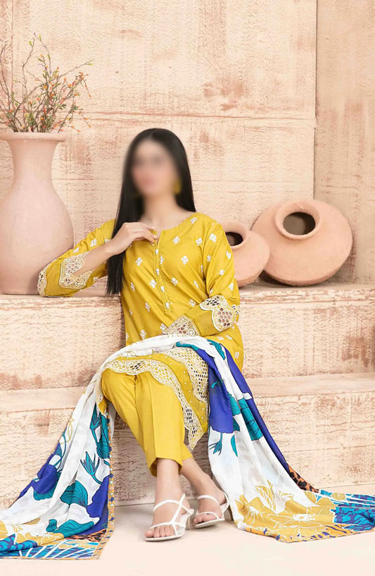 Ria - Stitched Schiffli Lawn Collection 2024 - D 1871