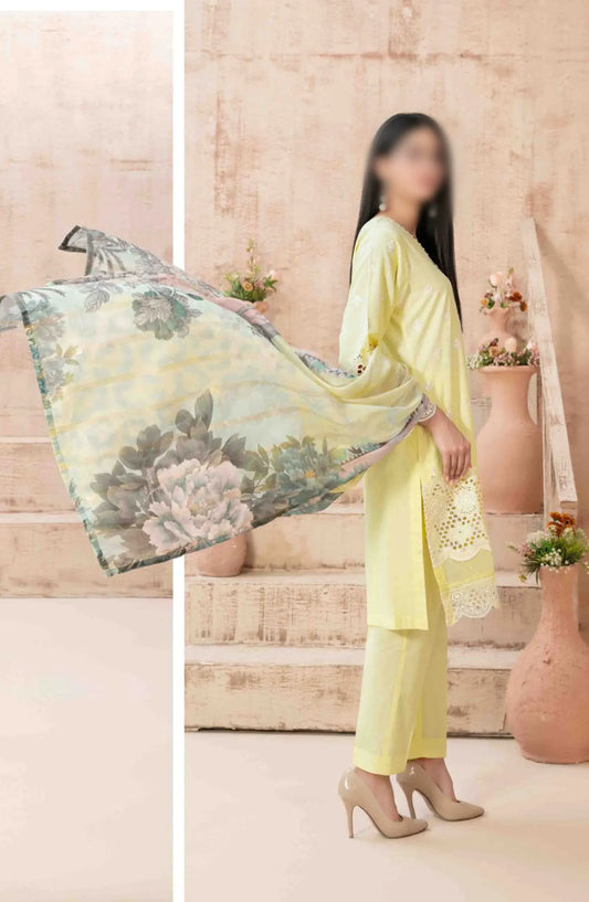 Ria - Stitched Schiffli Lawn Collection 2024 - D 1874