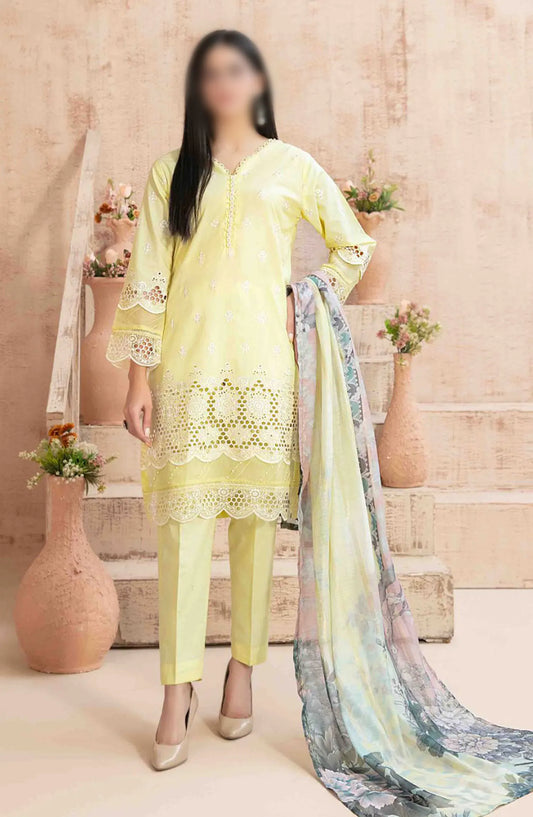 Ria - Stitched Schiffli Lawn Collection 2024 - D 1874