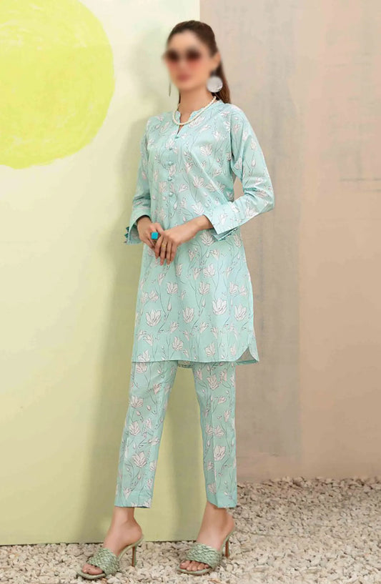 Shezlin - Stitched Digital Printed 2pcs Collection 2024 - D 2013