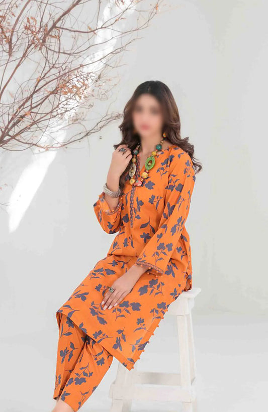 DIVANI VOL I Stitched Digital Printed 2pcs Collection 2024 - D 2123