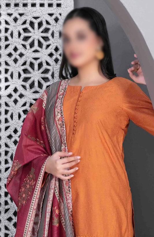 Leeba - Schiffli Embroidered Lawn Collection 2024 - D 3208