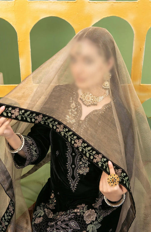 Esmeray - Fancy Heavy Embroidered Velvet Collection - D 3691