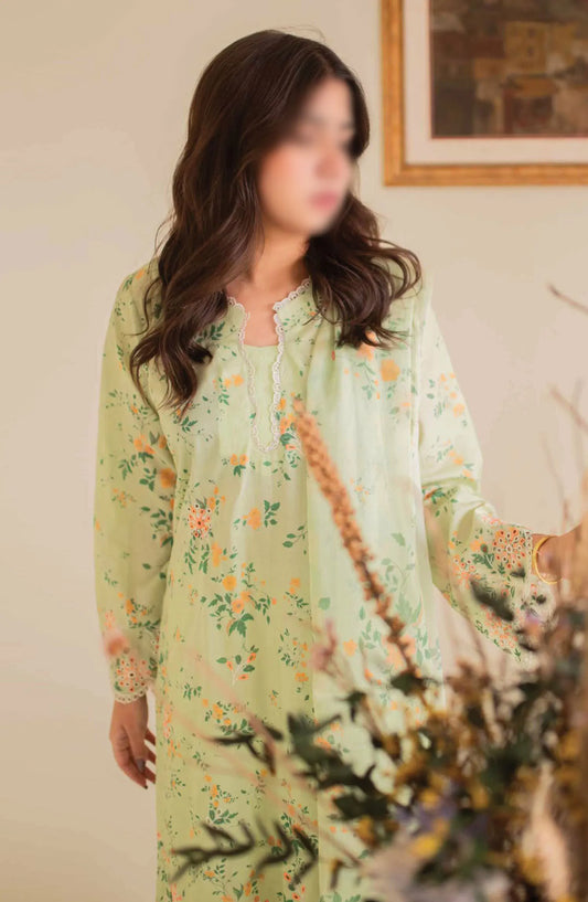 AYNA Embroidered Lawn Collection 2024 - D 8200